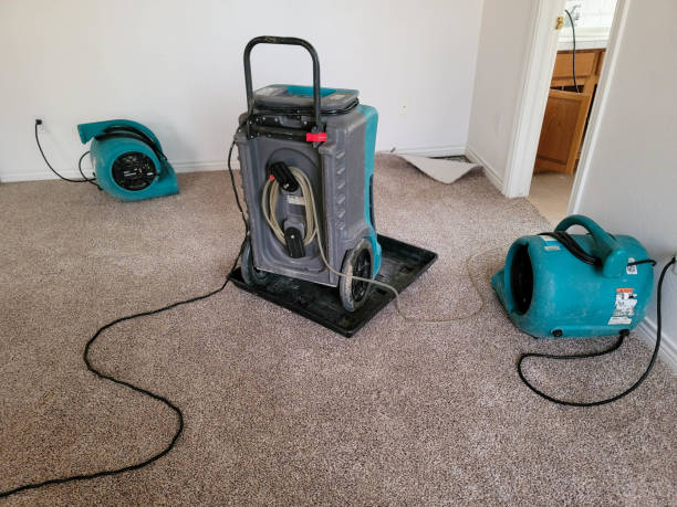 Best Residential water damage restoration  in Blanchester, OH