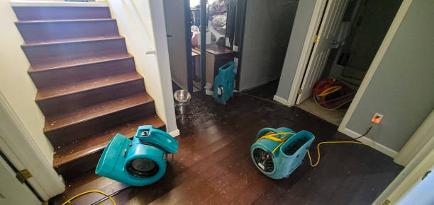 Trusted Blanchester, OH Water damage restoration Experts