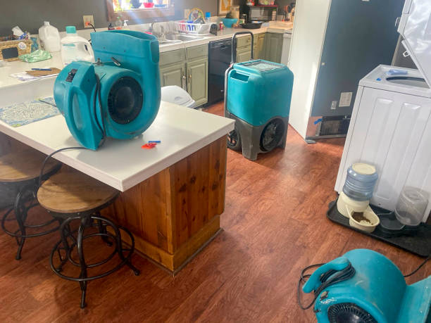 Best Local water damage restoration  in Blanchester, OH