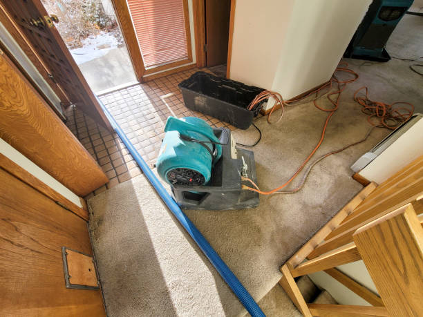Best Basement water damage restoration  in Blanchester, OH