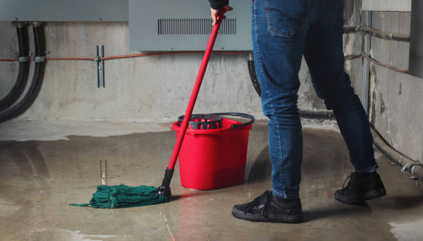 Best Flooded house restoration  in Blanchester, OH