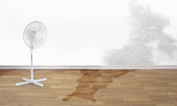 Best Ceiling water damage repair  in Blanchester, OH