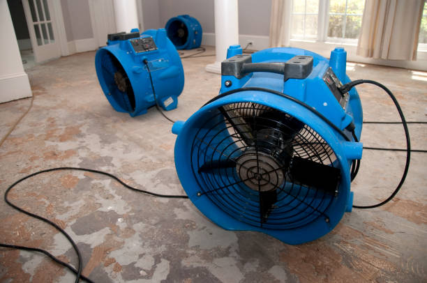 Best Commercial water damage restoration  in Blanchester, OH