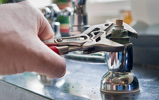 Best Mold removal after water damage  in Blanchester, OH
