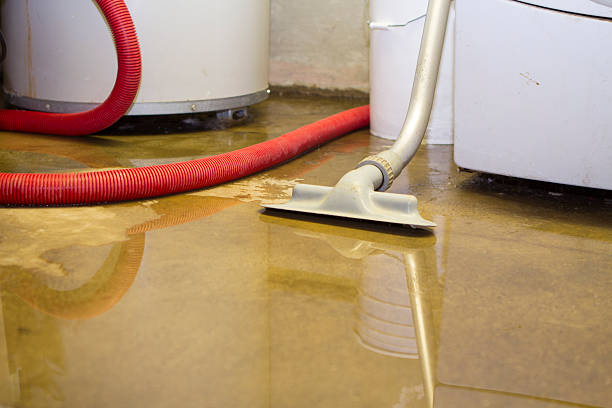 Best Sewage cleanup and water damage restoration  in Blanchester, OH
