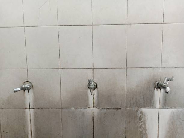 Best Basement water damage restoration  in Blanchester, OH