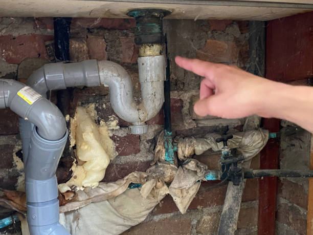 Best Residential water damage restoration  in Blanchester, OH