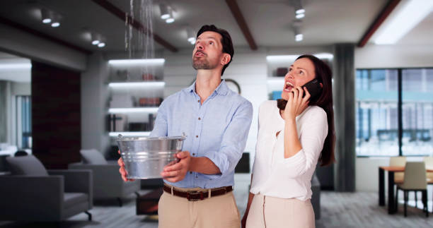 Best Commercial water damage restoration  in Blanchester, OH