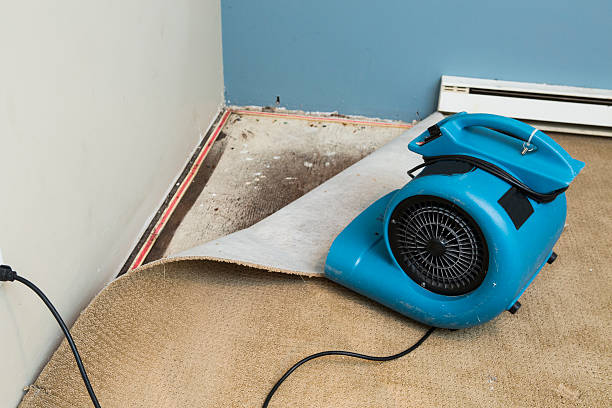 Best 24-hour water damage restoration  in Blanchester, OH