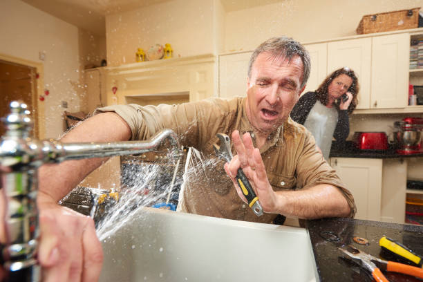 Best Professional water damage repair  in Blanchester, OH
